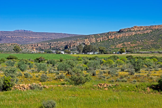 Biedouw山谷的小型农业定居点图片下载