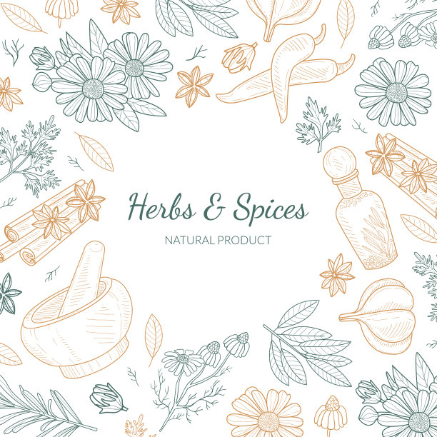 草本和香料横幅模板与天然图片下载
