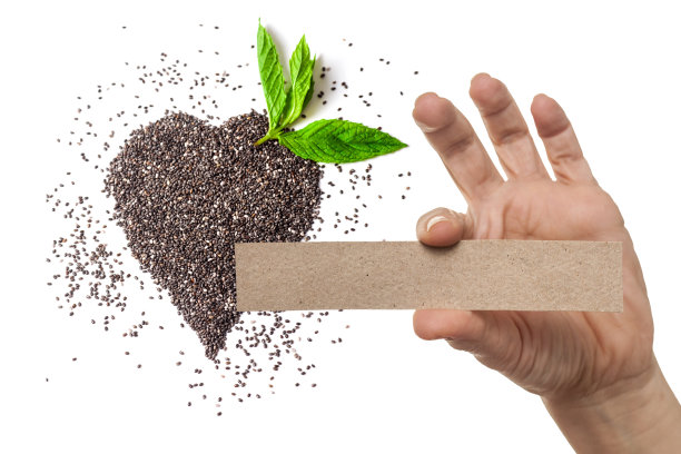 奇亚种子在心中图片下载