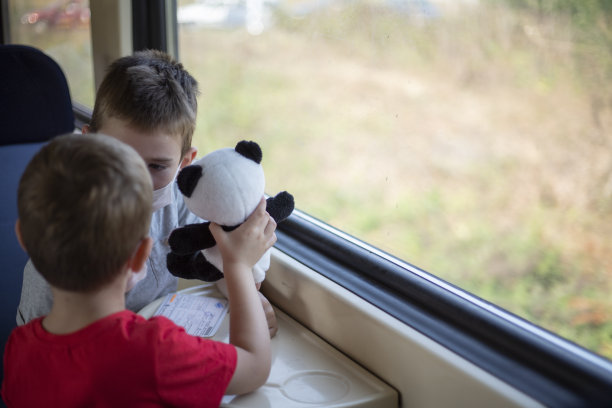 兄弟俩带着心爱的玩具享受火车之旅。图片下载