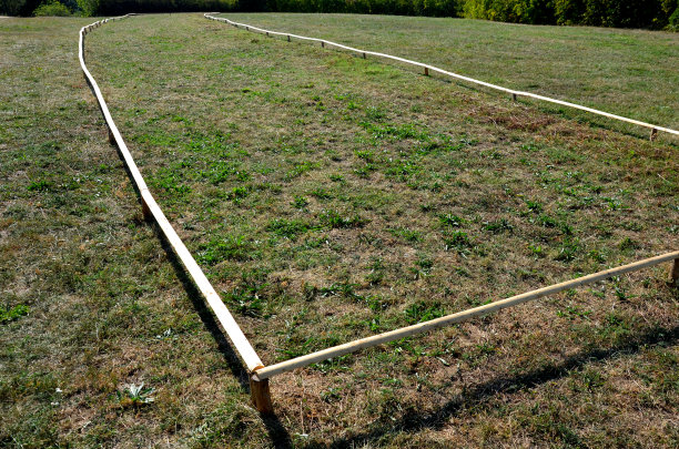 初春的花草地，一年前由水仙花建立在一个低矮的木杆围栏后面图片下载