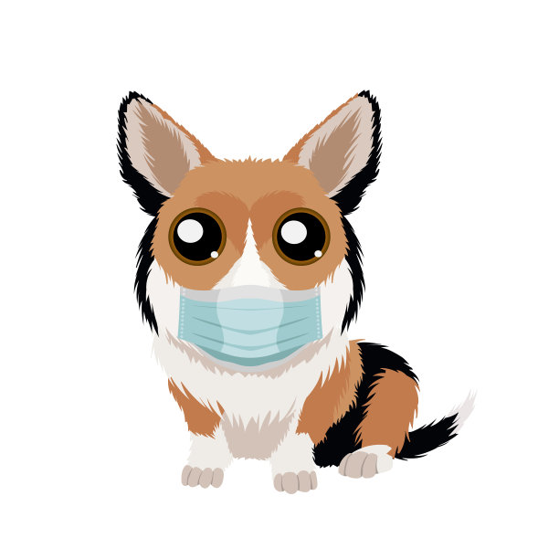 矢量肖像柯基小狗戴着保护面罩图片下载