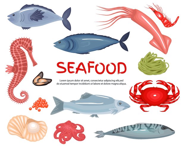 可爱的鱼图片下载