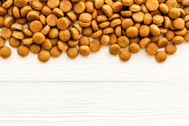 狗宠物食品的背景。上面,俯视图片下载