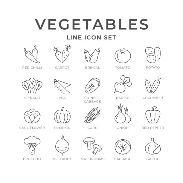 设置线条图标蔬菜图片下载