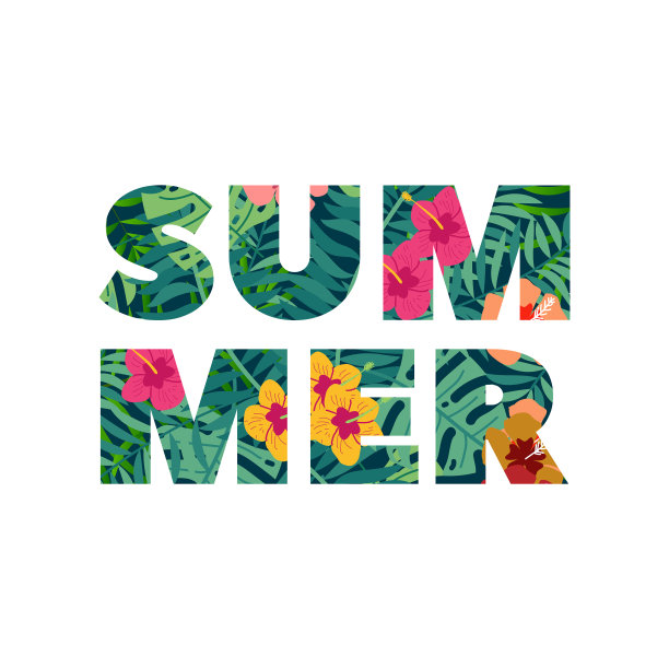 夏日的信与热带的叶和花图片下载