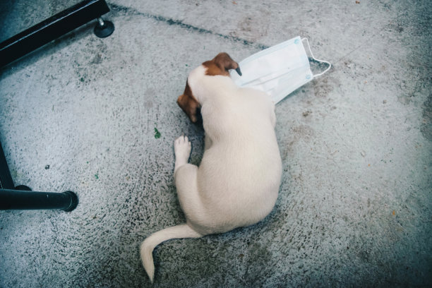 戴上你的面具库存照片图片下载