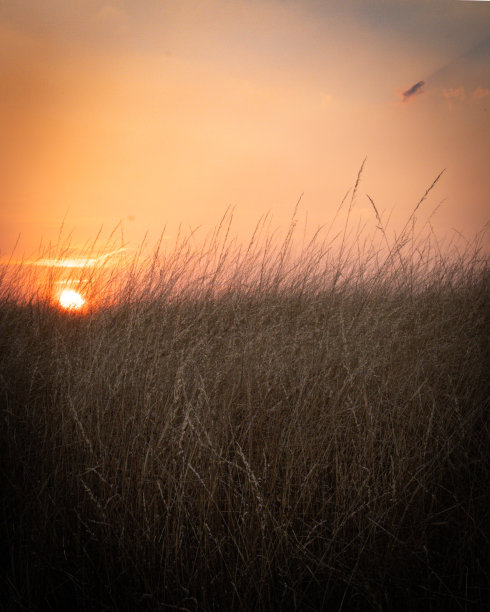 早上走图片下载