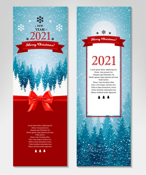 两面圣诞快乐和新年快乐的垂直贺卡与美丽的冬季景色。蓝色的圣诞树景观与雪。矢量插图与手绘元素图片下载