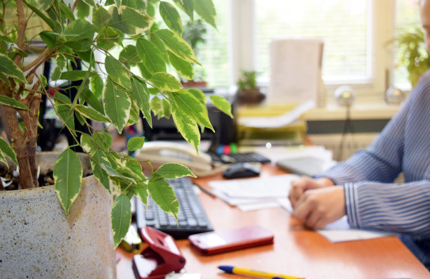 年轻女性在办公室工作的概念。背景中的窗口。文书工作，财务文件和商业经济，计算器，文件，桌面。图片下载