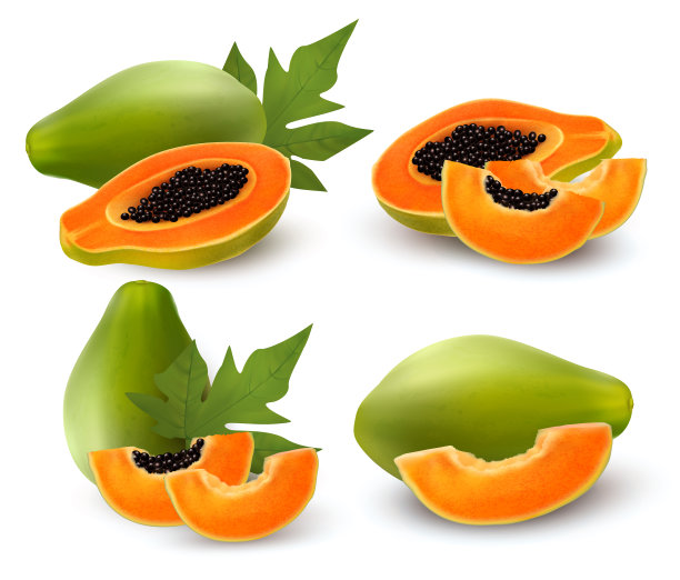 完整和半熟番木瓜果实带叶。矢量插图。图片下载