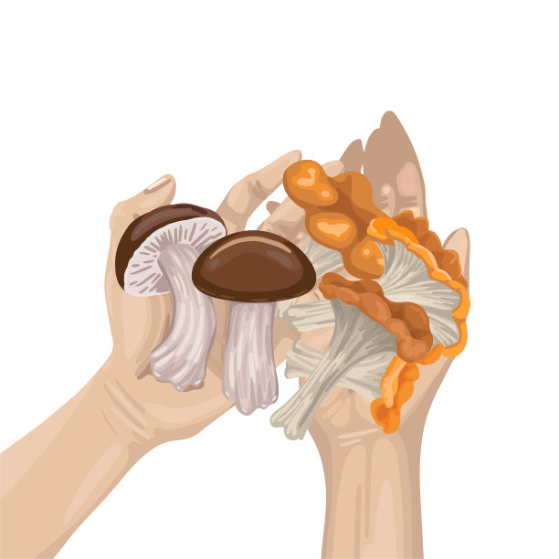 是抱着树叶的蘑菇和树枝。收成。矢量平面插图图片下载