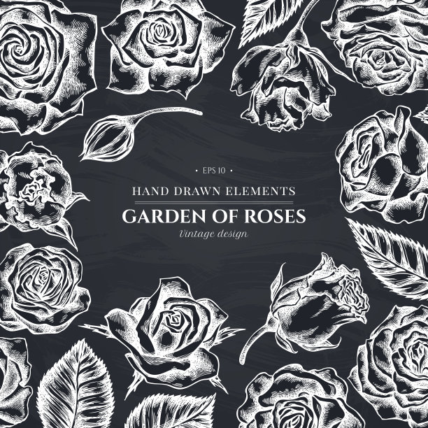 花设计与粉笔玫瑰图片下载