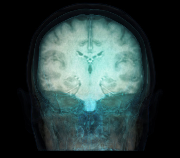 透明图像的头骨与脑的医学背景概念。图片下载