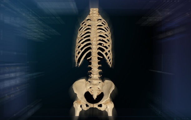 CT扫描全脊柱三维渲染隔离在模糊的监视器背景。图片下载