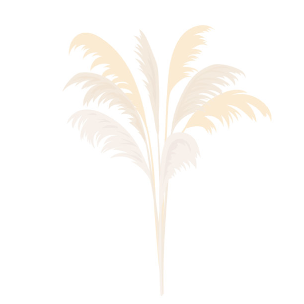 银潘帕斯草捆卡模板副本图片下载