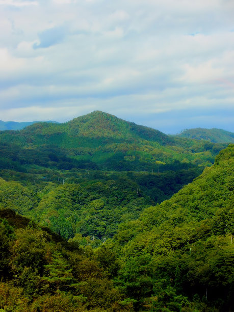 自然拍摄(日本)图片下载