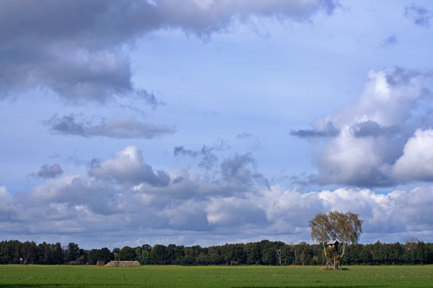 秋天走过草地图片下载
