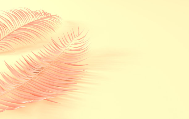 热带棕榈叶背景。夏季热带叶。异国情调的夏威夷丛林，夏季派对设计时髦的海报，传单，横幅，卡片，封面，小册子。3 d渲染。图片下载