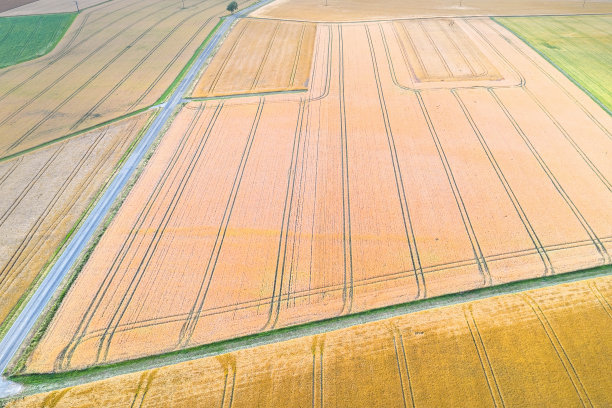 这是一幅从高处俯瞰的农耕景观图片下载