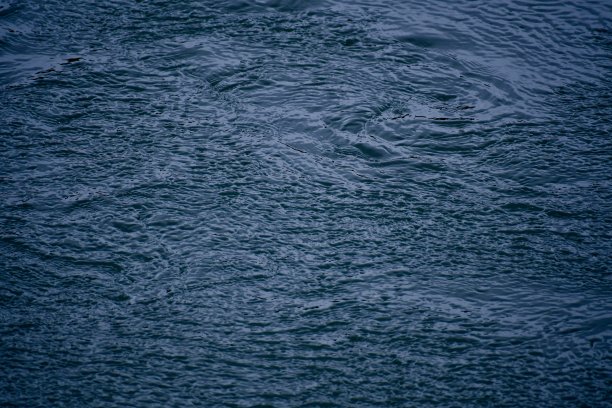 水上的风图片下载