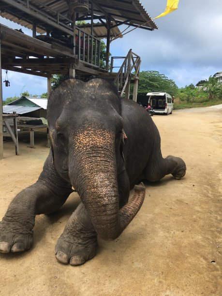 美丽的眼睛图片下载