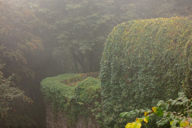 中世纪古堡废墟和维吉尼亚蔓藤在雾中图片下载