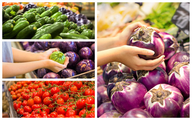 用选菜的女性手拼贴。健康食品的概念，生物，素食，有机图片下载