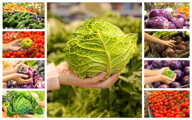 用选菜的女性手拼贴。健康食品的概念，生物，素食，有机图片下载