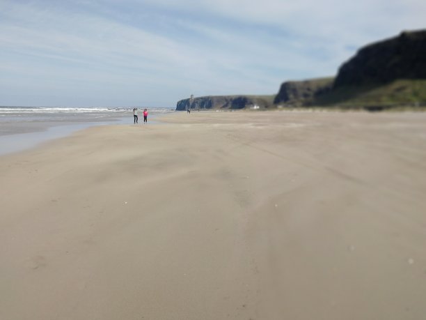 沙尘暴贝诺内图片下载