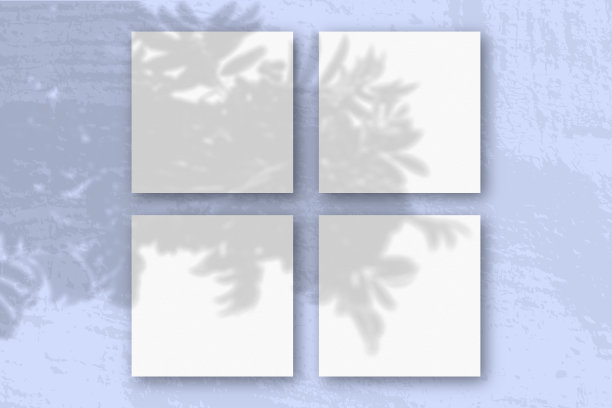 自然光从柔旺树枝上投射阴影在4张方形的白色纹理纸上图片下载