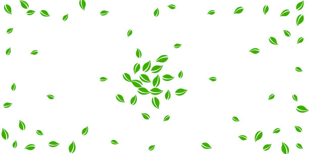 飘落的绿叶，新鲜的茶叶，随机的叶子飞图片下载