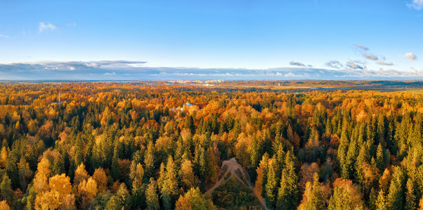 大型秋季彩色公园鸟瞰图图片下载