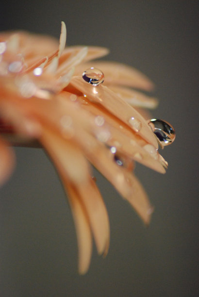 桃红色和闪闪发光的颜色图片下载