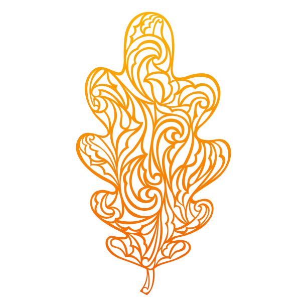 橡树的叶子。矢量插图。涂鸦风格。秋天的象征。图片下载