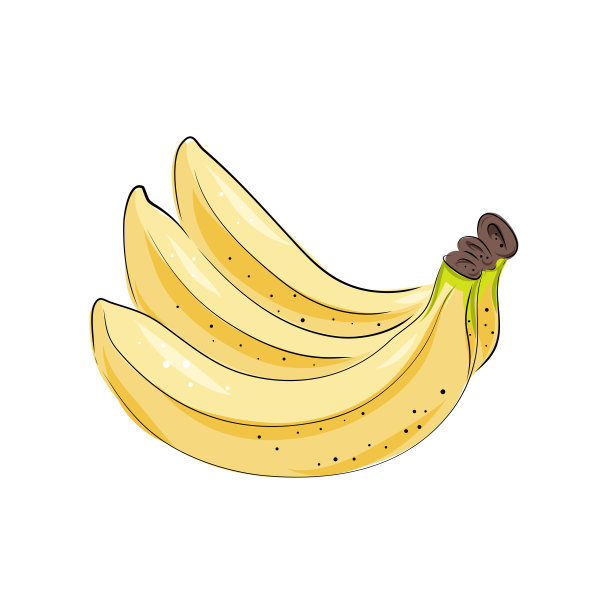 香蕉矢量图。孤立手绘花束、束、香蕉皮。夏日水果艺术风格插画。详细的素食。适合标签，海报，印刷图片下载