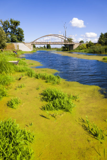 在波兰的假期-风景纳鲁河在维尔科波尔斯基省图片下载