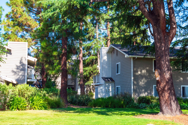 周围是成熟的红木树的低层公寓大楼的外观图片下载