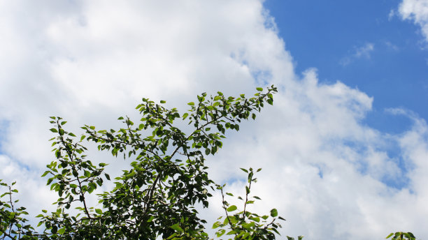 蓝天上的云图片下载