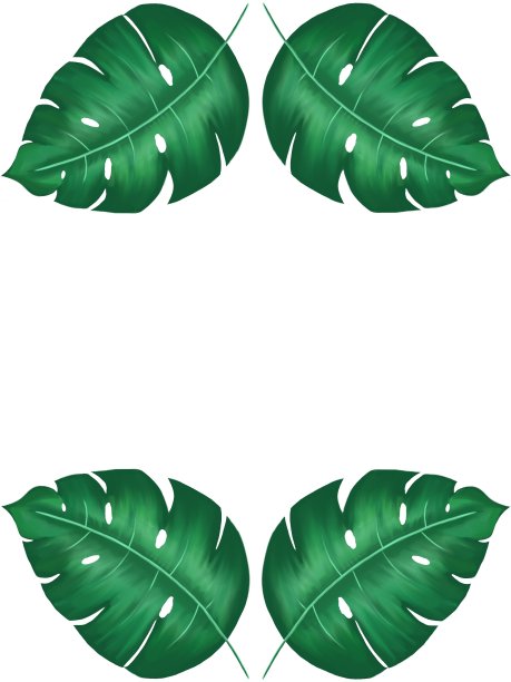光栅插图。一组绿色的热带树叶。图片下载