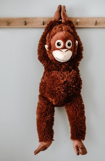 可爱的小猴子独自依附在灰色墙上的衣架上图片下载