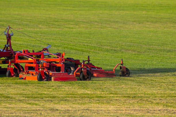草坪草的工业生产。修剪过的农田，耐机械冲击和耐干旱的绿色草坪草。拖拉机带着割草机穿过田野，割草和覆盖草。图片下载