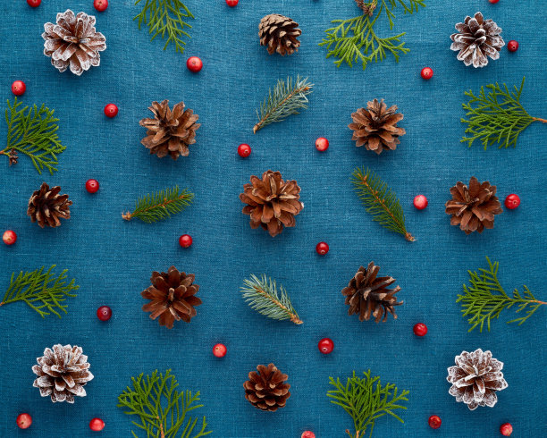 圣诞和新年快乐的深蓝色背景。图案与冷杉树枝，球果，蔓越莓图片下载