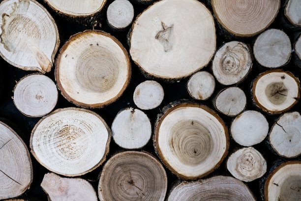 抽象的特写木材背景纹理的细节与环和裂缝。图片下载