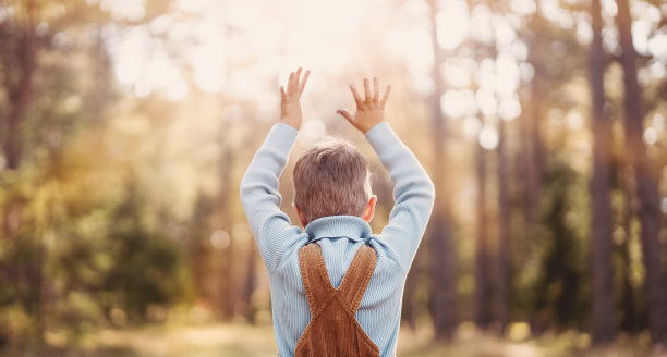 快乐的小男孩站在阳光灿烂的夏日傍晚的森林里图片下载