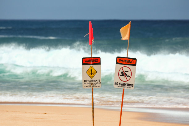 以巨浪为背景的海滩上的警告标志图片下载