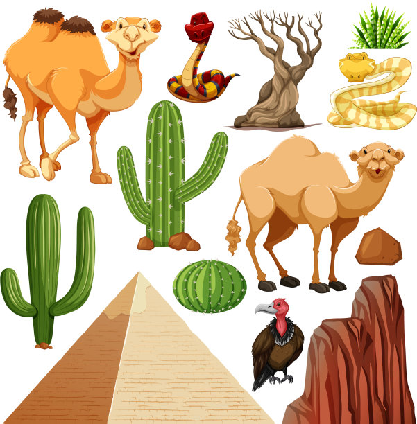 设置可爱的沙漠动物和自然图片下载