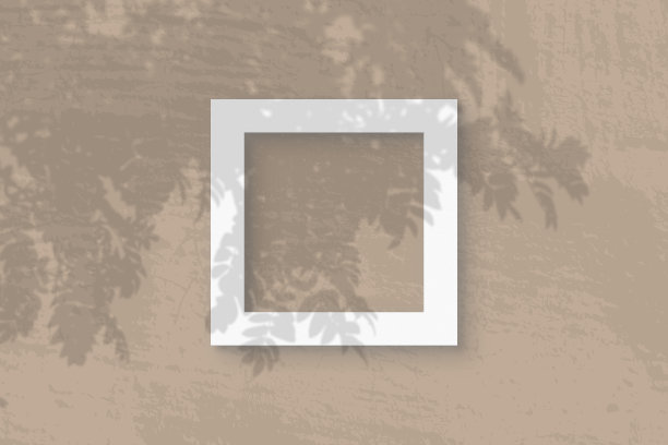 自然光从罗文树枝上投射阴影在白色纹理纸的方形框架上图片下载