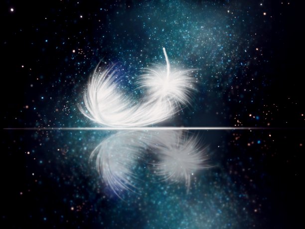 星空中蓬松美丽的羽毛墙纸图片下载