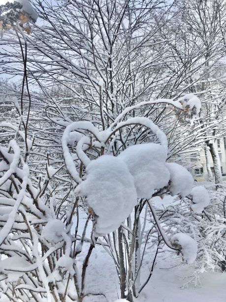 慕尼黑城下着雪。图片下载